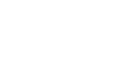 ALCER Alicante