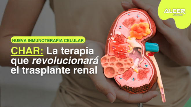 Terapia CHAR elimina anticuerpos dañinos tras trasplante renal
